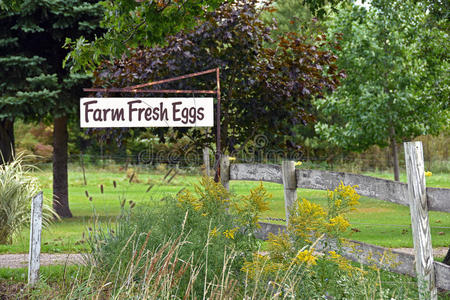 农场新鲜鸡蛋出售标志