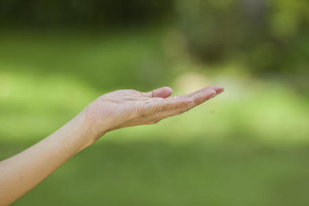 一只有博克背景的空手照片