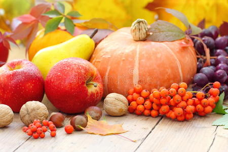 秋天的静物有水果蔬菜浆果和坚果