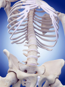 骨头老年人x线髋部骨折x线图像股骨粗隆间骨折女性的骨盆骨解剖女性的