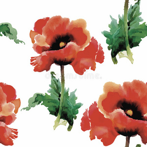 插图 明信片 自然 花的 卡片 织物 横幅 植物 绘画