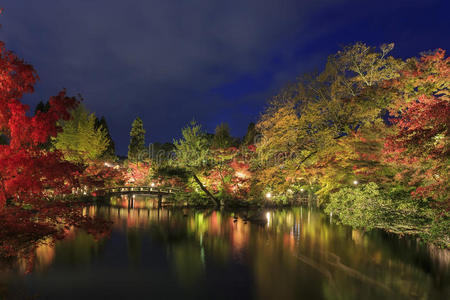 曾水啪啪百度图片