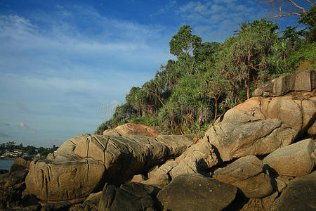 美丽的 自然 公司 国家 风景 地中海 海岸线 海滩 海湾