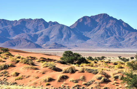 热带沙漠气候景观图图片