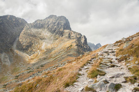 场景 首脑会议 追踪 风景 旅行 阿尔卑斯山 美丽的 自然