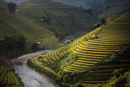 中南半岛 亚洲 山坡 农场 大米 生产 作物 贫困 风景