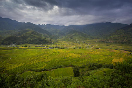 萨帕 亚洲 风景 贫困 生产 薄雾 稻谷 山坡 植物 公司