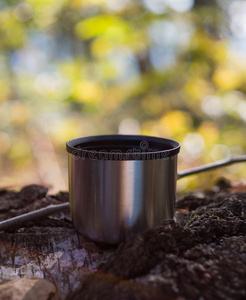 秋天森林里热水瓶里的一杯茶