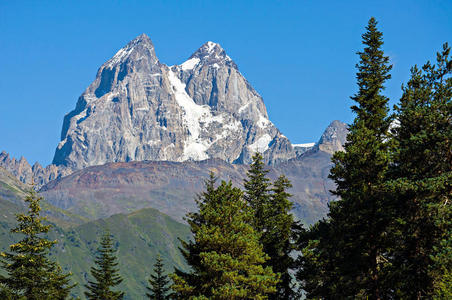 旅游业 冰冷的 高的 徒步旅行 冰川 太阳 夏天 风景 阿尔卑斯山