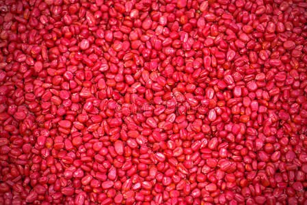 第6个字母农场主和拖拉机播种-播种作物在农业的田播种带芽玉米种子从