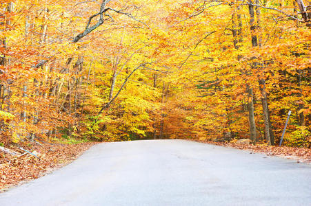 秋天的景象与道路