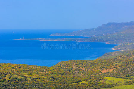 灌木丛 小山 植物 风景 自然 海岸线 海岸 乡村 火鸡