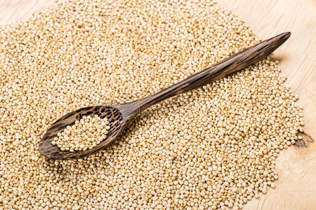 蛋白质 聚变 粮食 面筋 藜麦 种子 鳞片 谷类食品 素食主义者