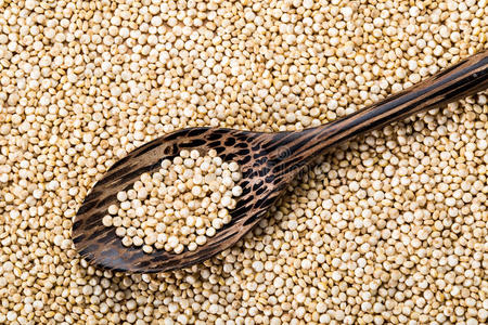 大米 聚变 食物 谷类食品 鳞片 藜麦 粮食 面筋 蛋白质