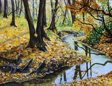 秋天的森林有一条小溪的原始景观