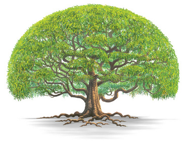 古老大树图片-古老大树素材-古老大树插画-摄图新视界