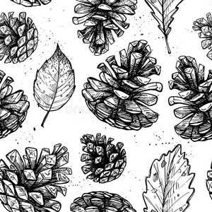 手绘矢量插图. 与松果无缝图案照片