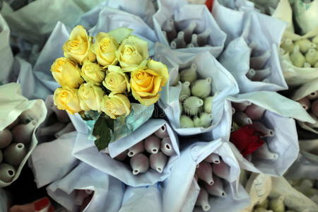 亚洲泰国曼谷曼谷帕克卡龙花卉市场