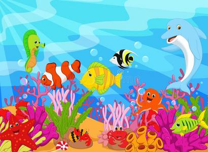 小丑 卡通 银莲花 公司 隐士 珊瑚 收集 自然 可爱极了