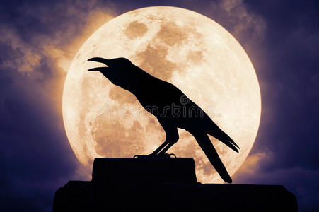 乌鸦坐在岩石上，对着满月呱呱叫