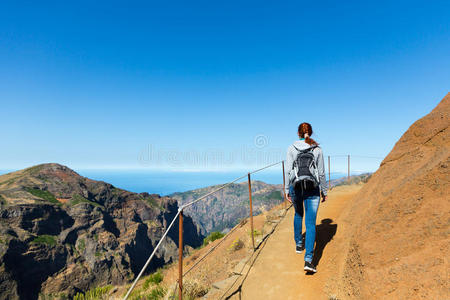 山中旅行者