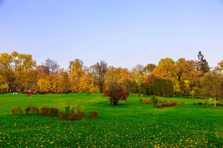 环境 天空 分支 秋天 草地 土地 风景 季节 草坪 领域