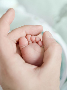 手指 起源 新生儿 白种人 支持 身体 小孩 甜的 持有