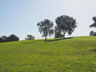 雅顿 乡村 绿色植物 自然 国家 英国 丘陵 草坪 风景