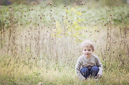男孩坐在秋天的田野里