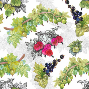 要素 花园 公司 浆果 艺术 插图 纸张 美丽的 颜色 自然