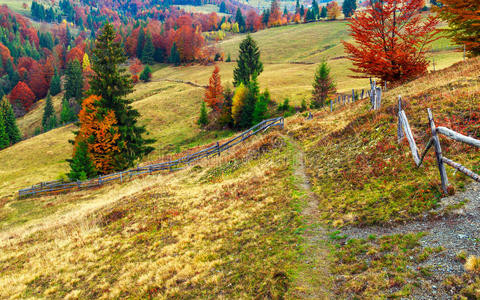 五彩缤纷的秋季景观场景与栅栏在特兰西瓦尼亚
