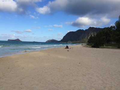 早晨 行走 时间 夏威夷 海滩