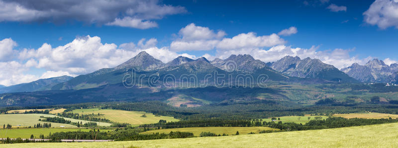 乡村 草地 假日 小山 美丽的 自然 斯洛伐克 风景 欧洲