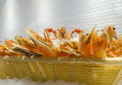 龙虾螃蟹图片