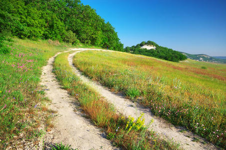 全景 牧场 地平线 领域 环境 土地 小山 草地 自然 公司