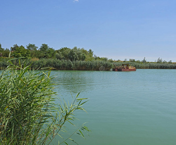 王室成员 形象 植物 绘图 股票 国家 照片 风景 自然