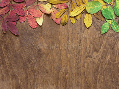 棕色木制背景上的秋叶