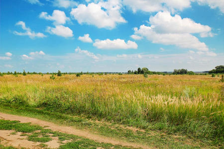 青草道路云彩的夏日景观