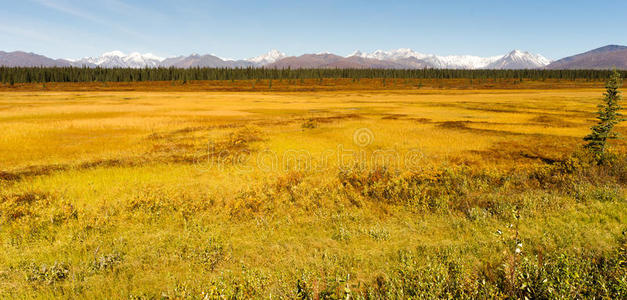 德纳利山脉中部阿拉斯加荒野地区