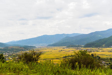 高地 秋天 领域 丽江 瓷器 村庄 纳西 泸沽 云南