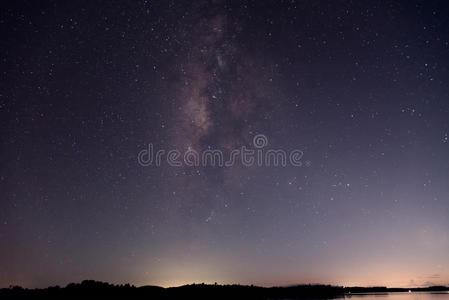 远的 芦苇 自然 黎明 幻想 地平线 好极了 宇宙 藤条