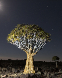 自然 非洲 傍晚 月亮 操场 纪念碑 黄昏 叹气 箭头 辉绿岩