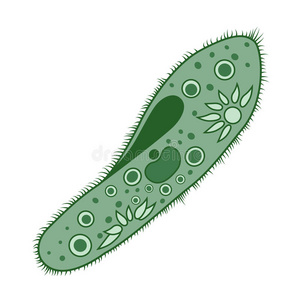 动物 漏斗 纤毛虫 流感 芽孢杆菌 外星人 实验室 变形虫
