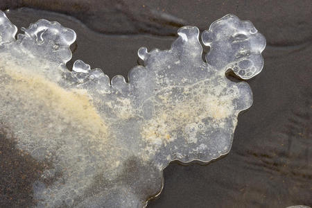 海岸 纹理 天气 透明的 边缘 美女 寒冷的 冰柱 冰川