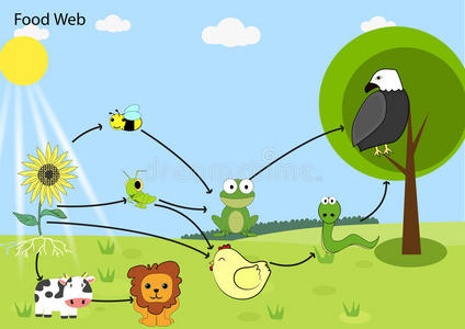 食物链图片-食物链素材-食物链插画-摄图新视界