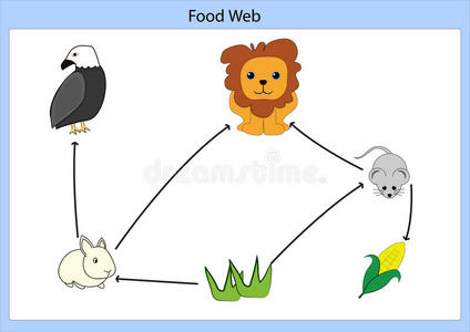 食物链图片-食物链素材-食物链插画-摄图新视界