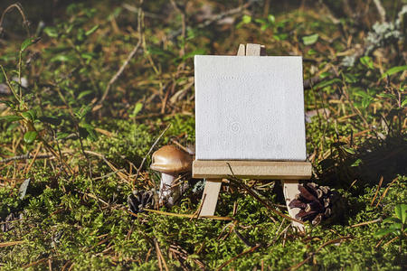 艺术家 艺术 工艺 蘑菇 落下 帆布 颜色 森林 灵感 绘画