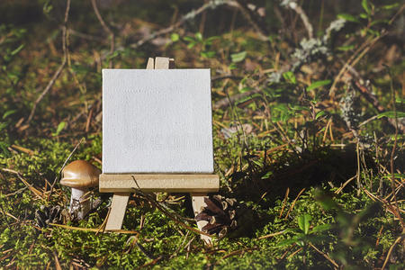 蘑菇 空的 风景 艺术家 艺术 业余爱好 灵感 闲暇 树叶