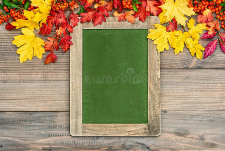 秋天的背景是五颜六色的叶子和绿色的黑板