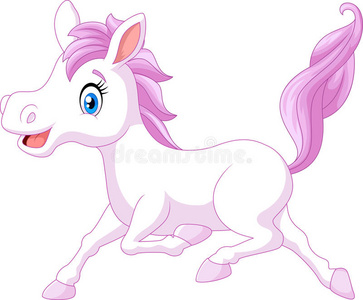 马蹄口可爱的漂亮小马马在白色背景上孤立地奔跑照片